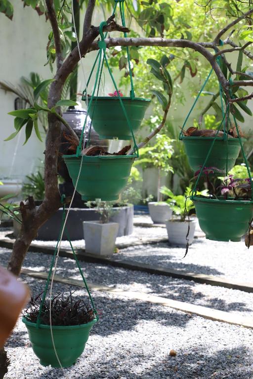 AMI Mirissa, Mirissa, Sri Lanka.