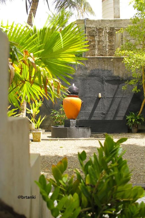 AMI Mirissa, Mirissa, Sri Lanka.